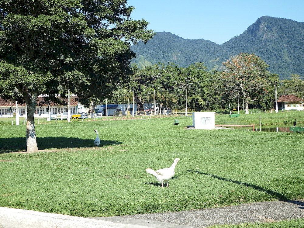 Hotel Fazenda 3 Poderes คารากัวตาตูบา ภายนอก รูปภาพ